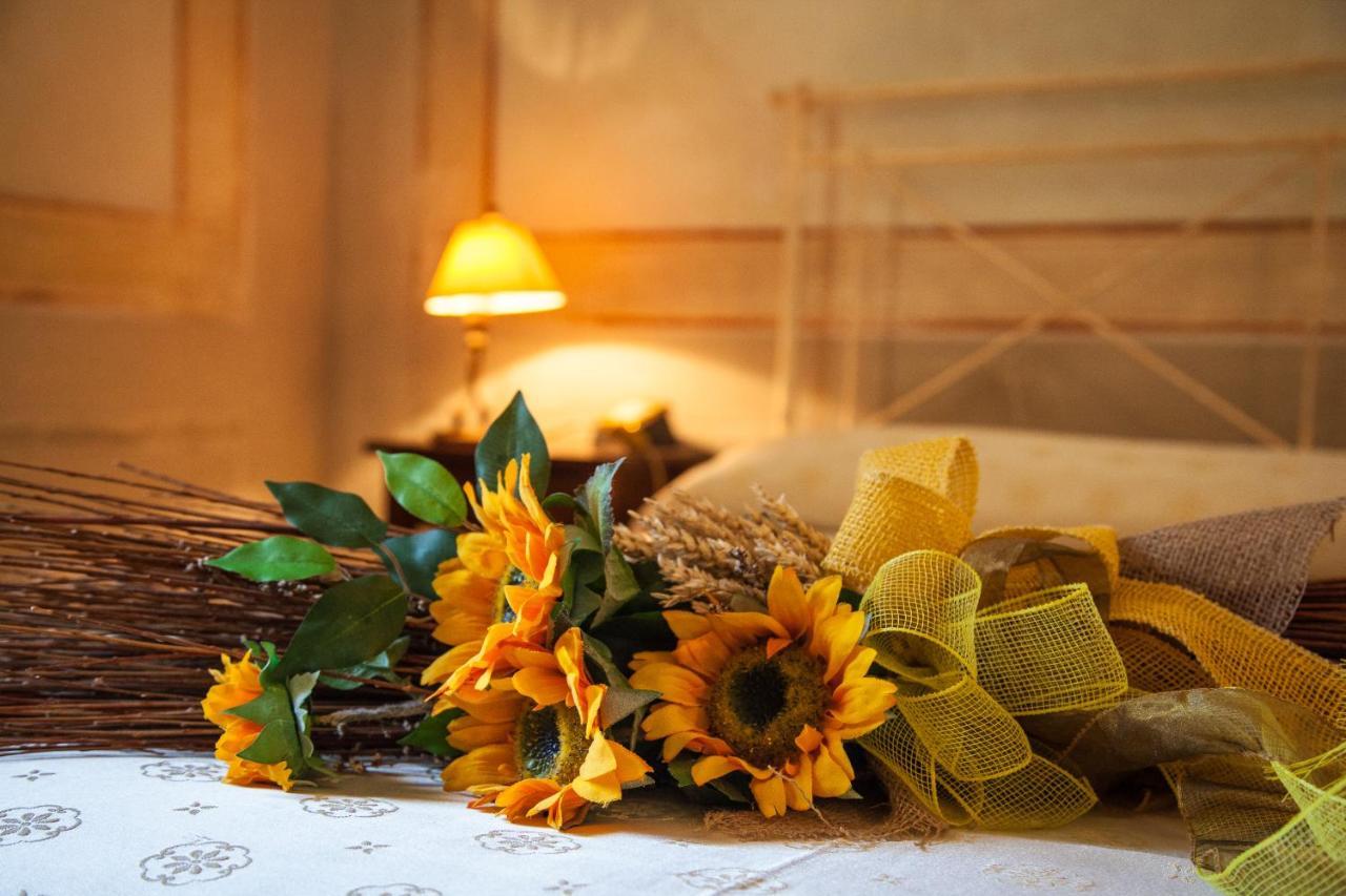 Borgo San Martino Resort Riparbella Ngoại thất bức ảnh